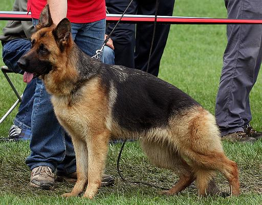 deny brauch 1 jpg.jpg