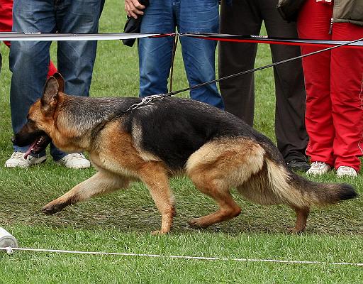 deny brauch 2 jpg.jpg