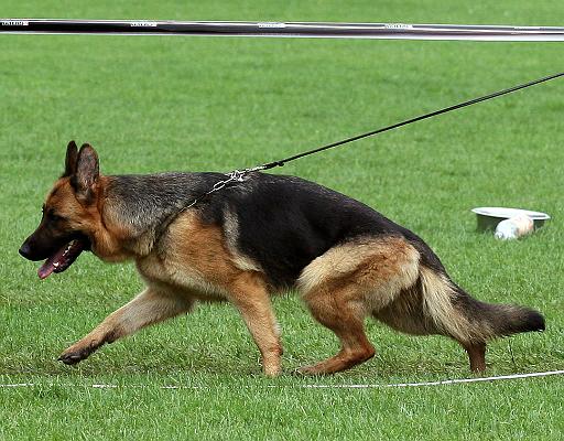 deny brauch 3 jpg.jpg