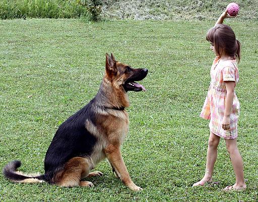 Falco&Una 15 m 11.jpg