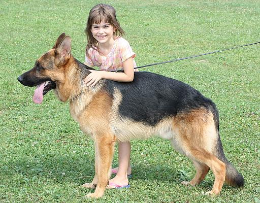 Falco&Una 15 m 2.jpg