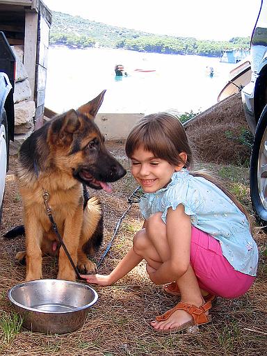 falco 4 months 3 jpg.jpg