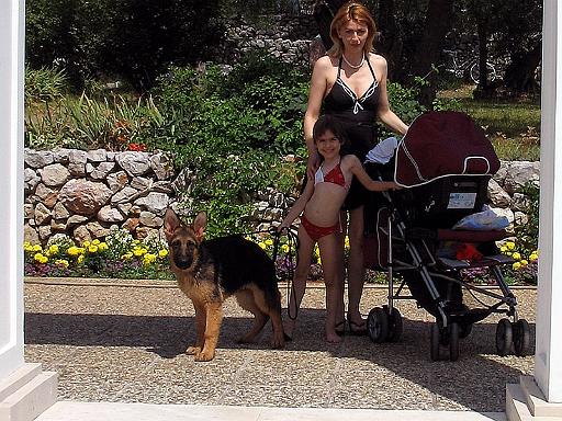 falco 4 months 7 jpg.jpg