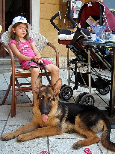 falco 4 months 8 jpg.jpg